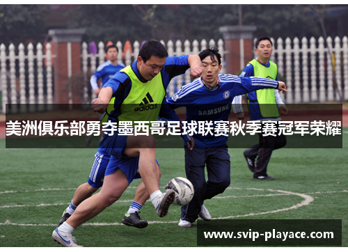 美洲俱乐部勇夺墨西哥足球联赛秋季赛冠军荣耀